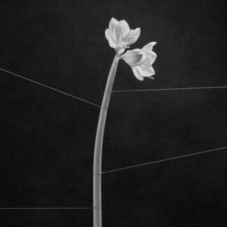 Trentemøller "Dreamweaver" LP (post-rock, experimental)