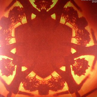 Boards Of Canada "Geogaddi (trifold 3xLP)" (ambient, electronica, experimental"