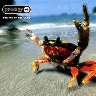 The Prodigy "Fat Of The Land" 2 x LP (breakbeat)